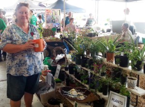 Gympie Plant and lifestyle Expo day 1